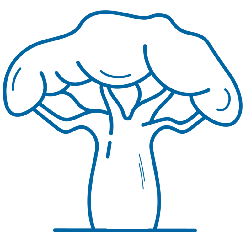 eFundisha logo